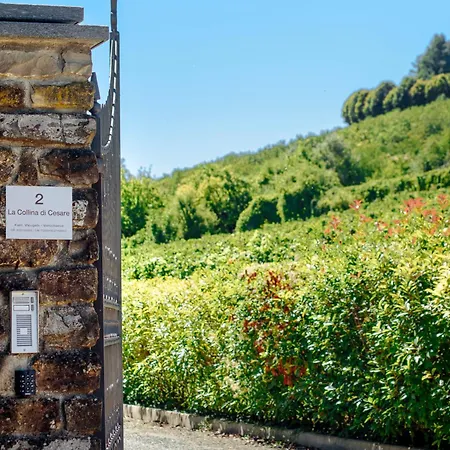 La Collina Di Cesare *