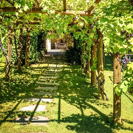 La Collina Di Cesare * Calosso