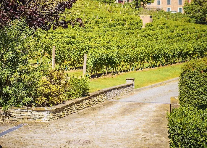 La Collina Di Cesare Villa Calosso