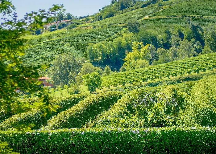 La Collina Di Cesare Villa Calosso