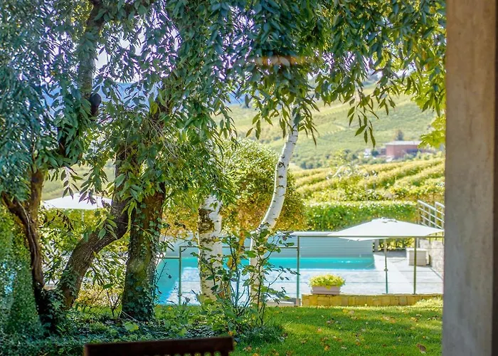 La Collina Di Cesare * Calosso
