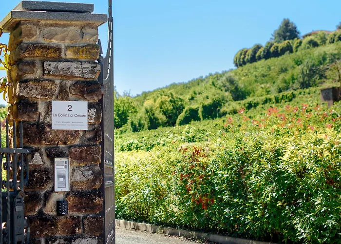 La Collina Di Cesare *