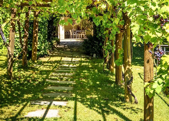 La Collina Di Cesare * Calosso